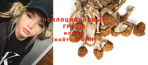 каннабис Баксан