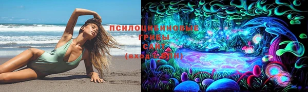каннабис Баксан