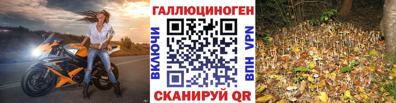 Галлюциногенные грибы ЛСД Дигора
